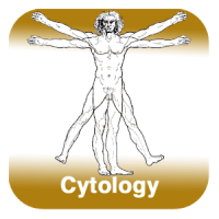 Anatomy - Cytology