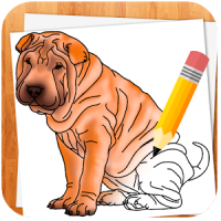 Como Desenhar Cães