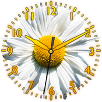 Daisy Flower Clock