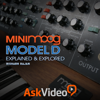 Minimoog Model D Intro Course