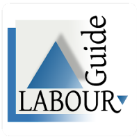 SA Labour Guide