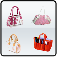 Ladies Purse & Bags