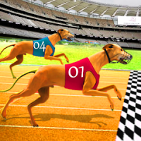 Dog Racing - Dog race Simulator - Pet Racing game