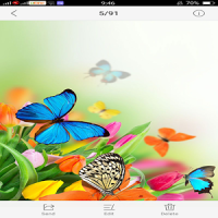 Flowers and Butterfly Themes