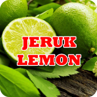 Budidaya Jeruk Lemon