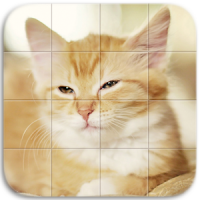 Cats Tile Puzzle