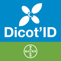 Bayer Dicot'ID