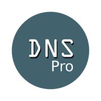 DNS Manager Pro