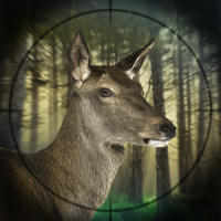 Deer Expert Hunter
