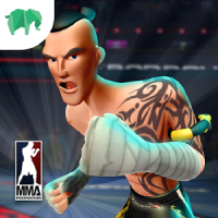 MMA Federation