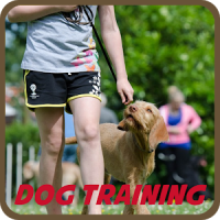 Dog Training Apps