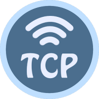 TCP Socket