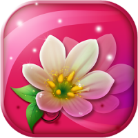 Flowers Live Wallpaper App