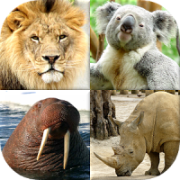 Animals Quiz