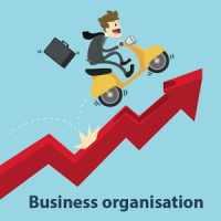 Business Organisation