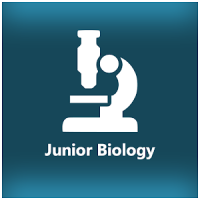 Junior Biology