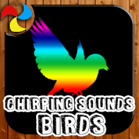 Sonido chirriante de las aves