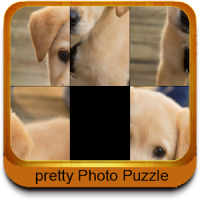 Puzzle Fun Photos