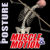 Posture by Muscle & Motion