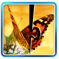 Butterfly Jigsaw Puzzle 02