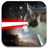 laser de chat