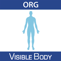 Physiology Animations 16 (Org.)