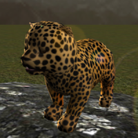 réal guépard cub simulateur