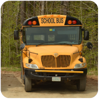 Off-Road-Schule Busfahrt 3d