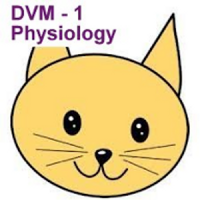 DVM 1st Yr Quiz - Physiology