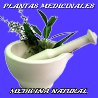 Plantas Medicinales y Medicina