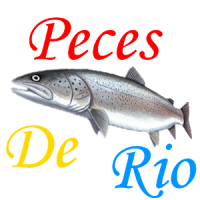 Guia de Peces de Río