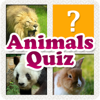 Animals Quiz & Infos