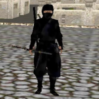 ninja Guerreiro