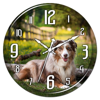 Dog Clock Live Wallpaper