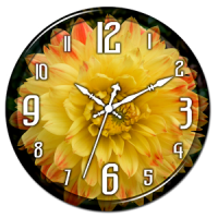 Yellow Dahlia Clock Live WP