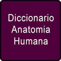 Diccionario Anatomia Humana