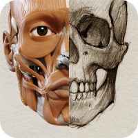 Anatomía 3D para el artista