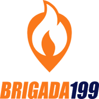 Brigada 199