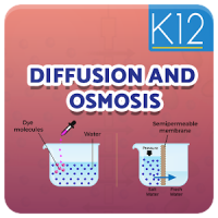 Diffusion and Osmosis