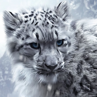 LWP léopard des neiges