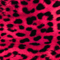 estampa de leopardo wallpaper