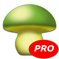 Cogumelos - Mushtool Pro