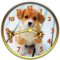 강아지 시계 위젯