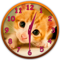 Niedlichen Katzen Uhr Widget