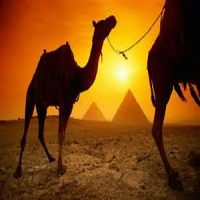 Египетский разговорник для туристов