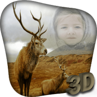 Animal Photo Frame