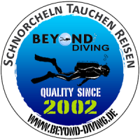 BEYOND DIVING