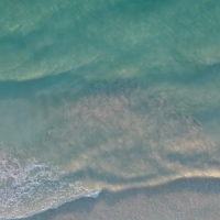 Beach Waves Live Wallpaper