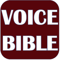 THE VOICE BIBLE