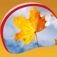Autumn Leaves Live Wallpapers